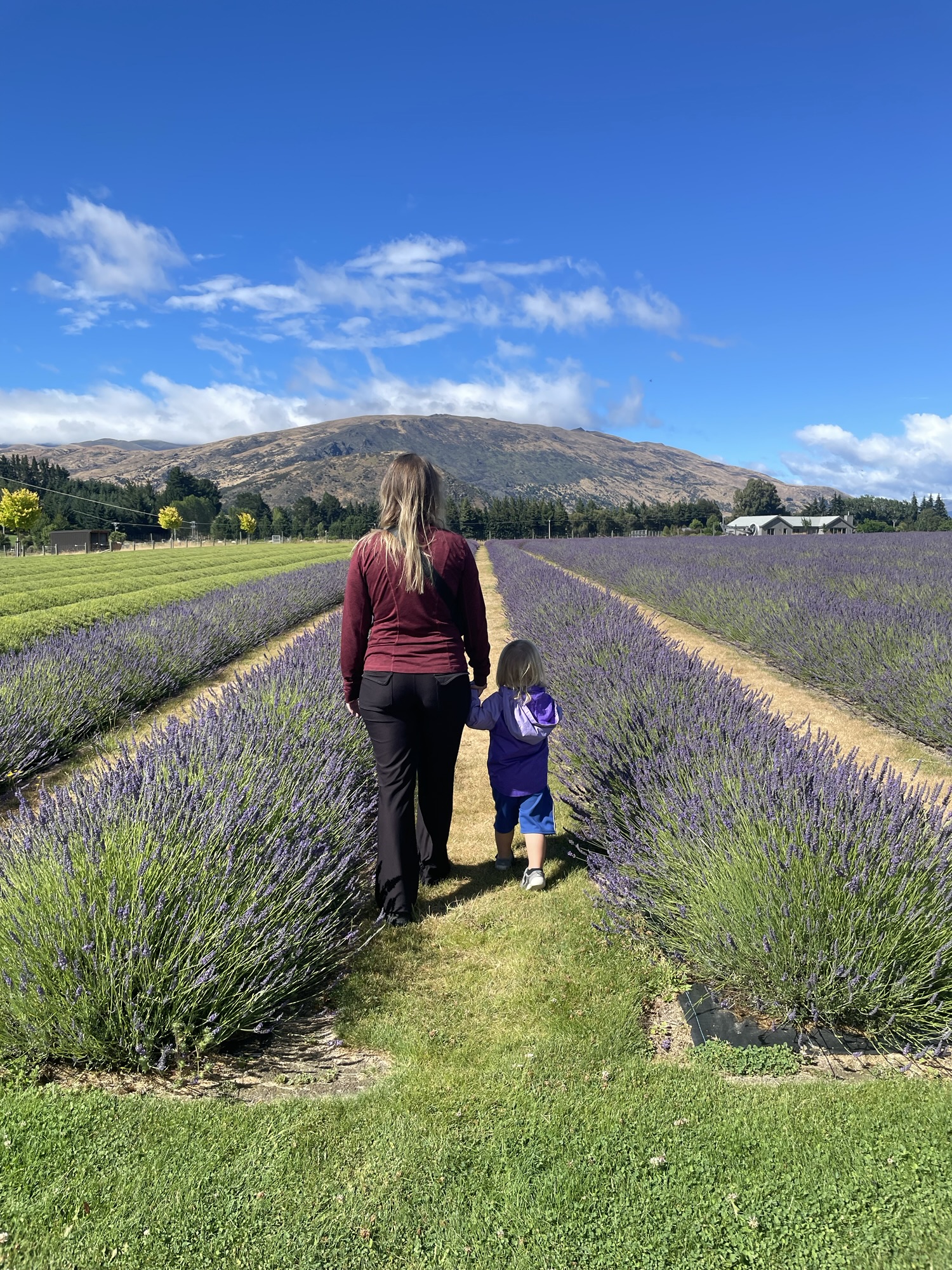 Roadtrip: Queenstown to Wanaka