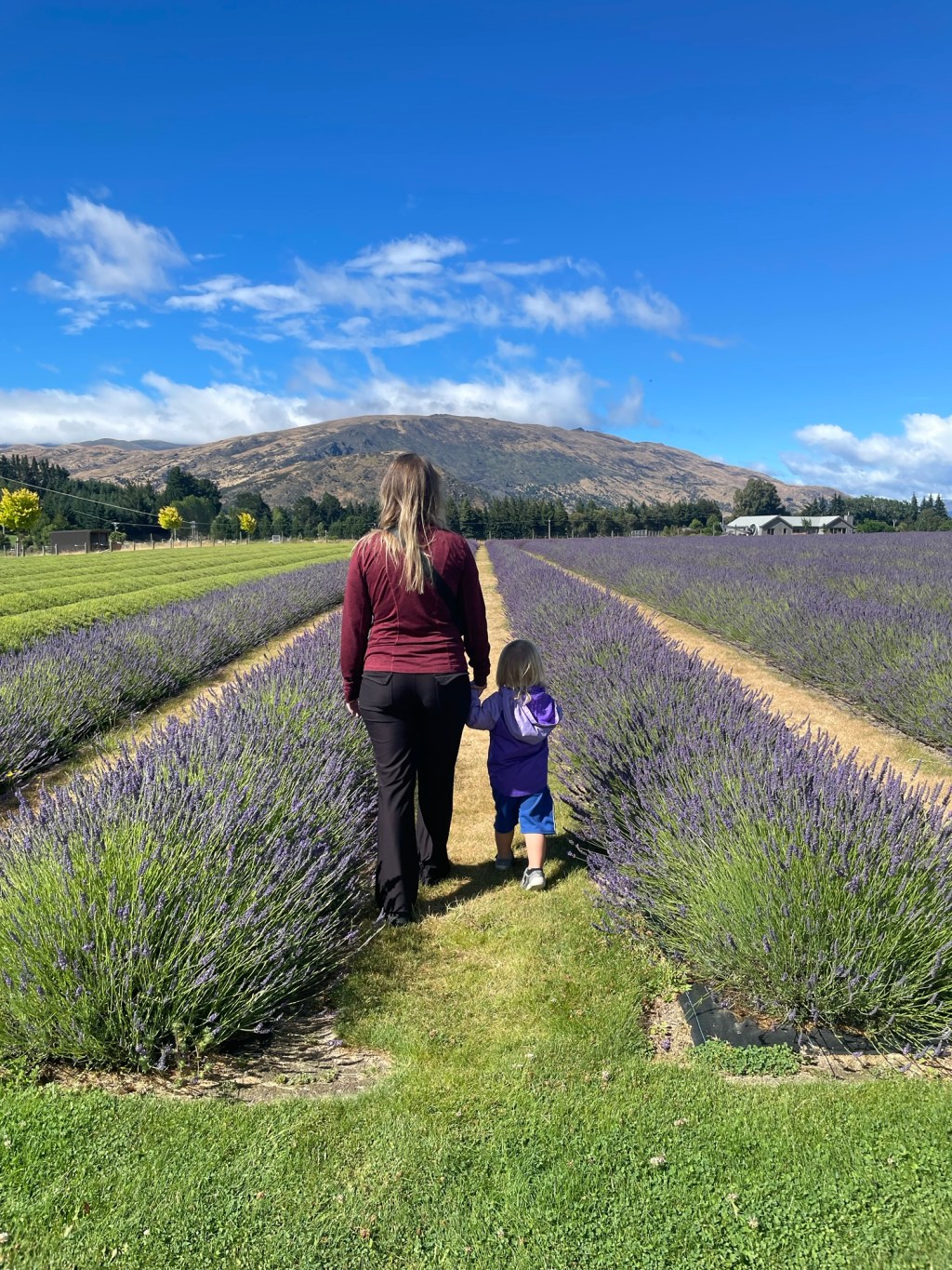 Roadtrip: Queenstown to&nbsp;Wanaka